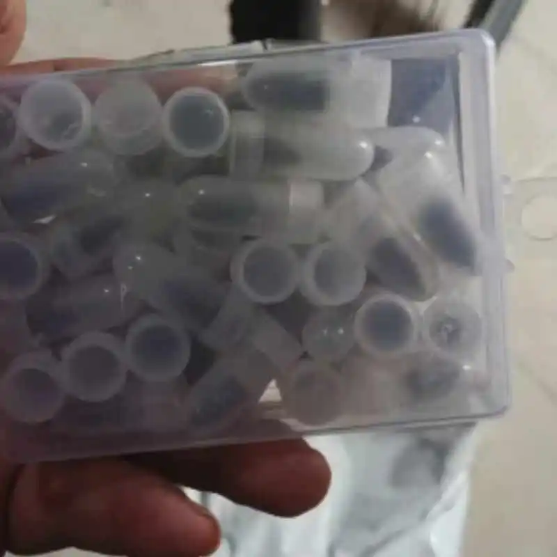 Reseña Fabian Quintana Roa