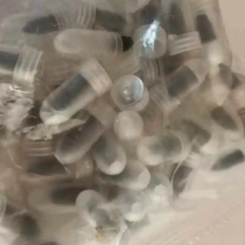 Reseña María Angelica Mesa